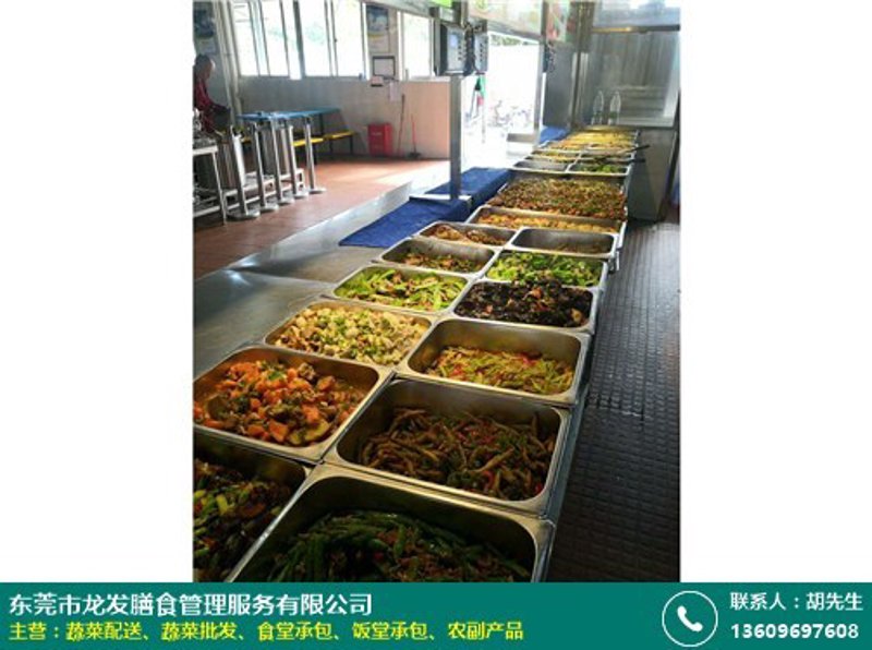 餐饮行业的管理艺术：动态探索与未来展望
